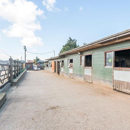 "Pony Pod" At Nelson Park Riding Centre Ltd - Glamping Pod Also Available The Fox Pod And Trailor Escapes- Birchington, Ramsgate, Broadstairs Margate Hotel Westgate-on-Sea Buitenkant foto